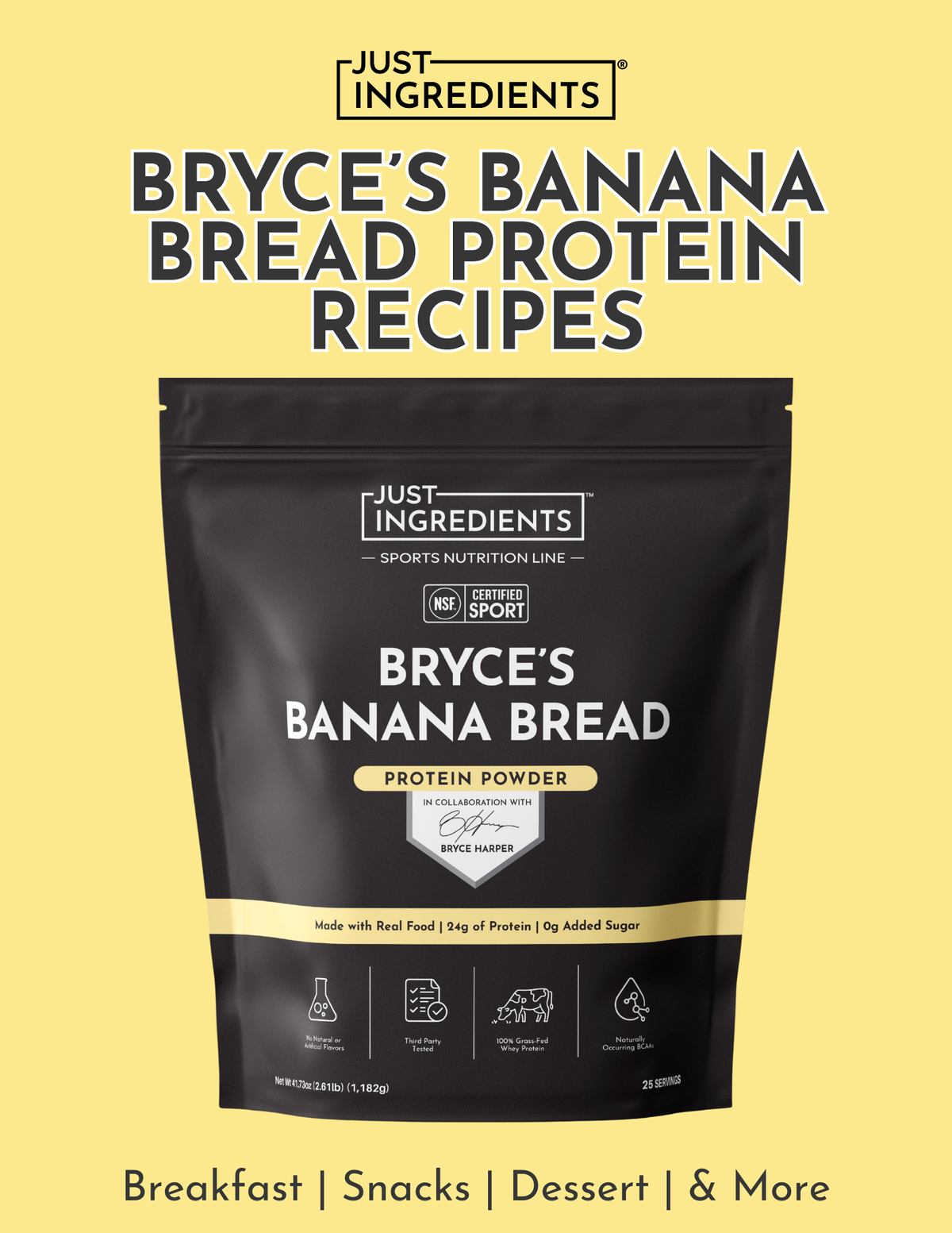 Bryce's Banana Bread Protein Recipes