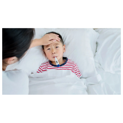 DR. ANA-MARIE TEMPLE- HOLISTIC APPROACHES TO COMMON CHILDHOOD ILLNESS- A PARENT'S GUIDE