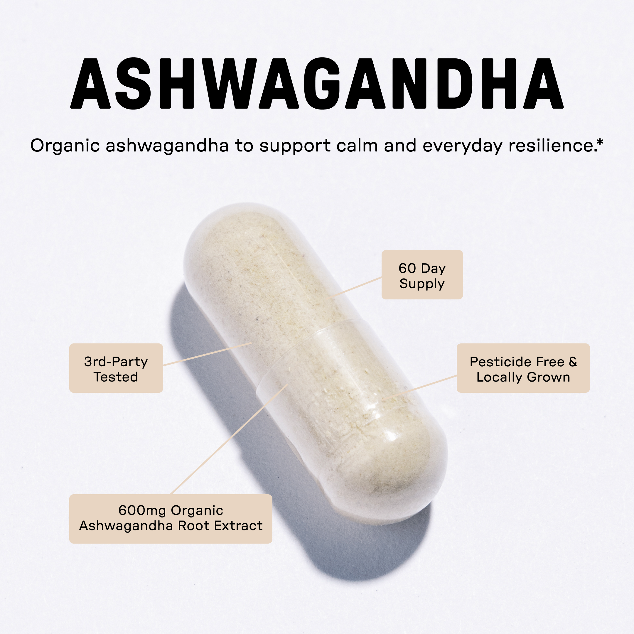 Ashwagandha Capsule